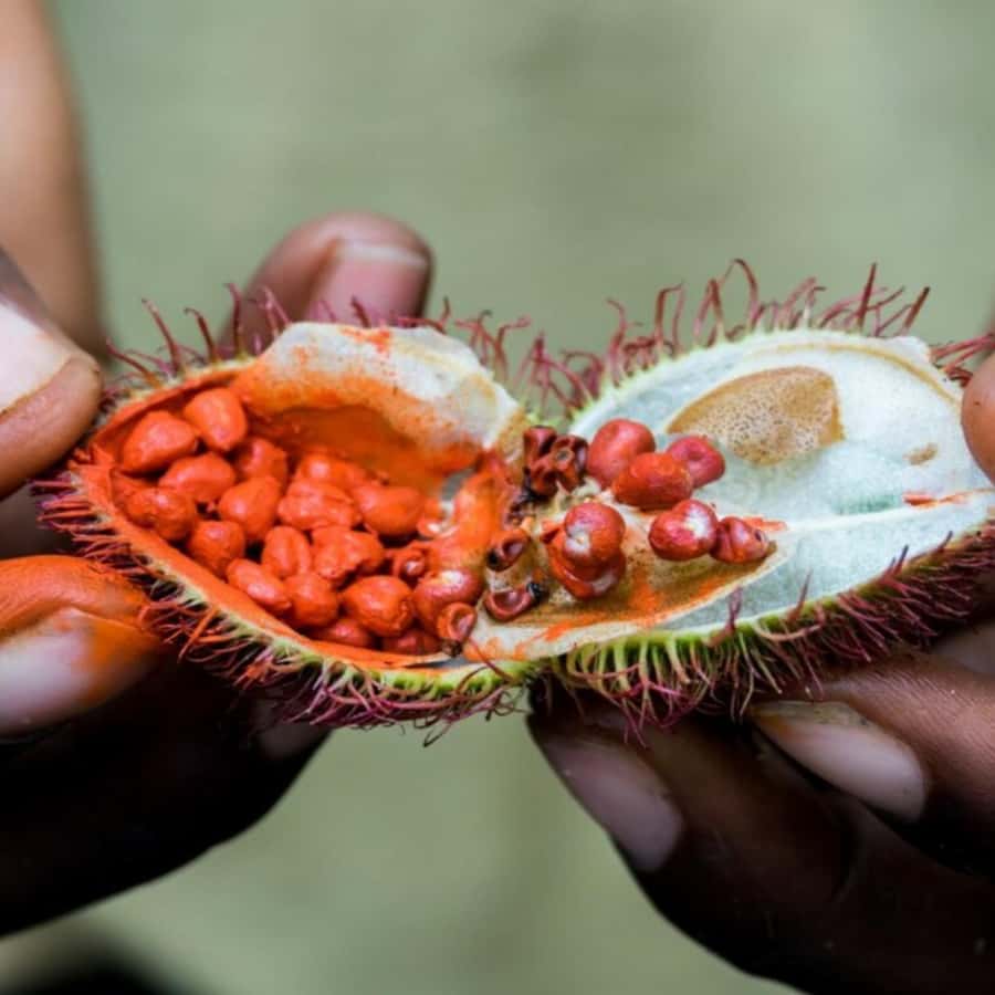 Zanzibar: Jozani Forest, Spice Farms, & Stone Town tour - Who will enjoy this tour most?