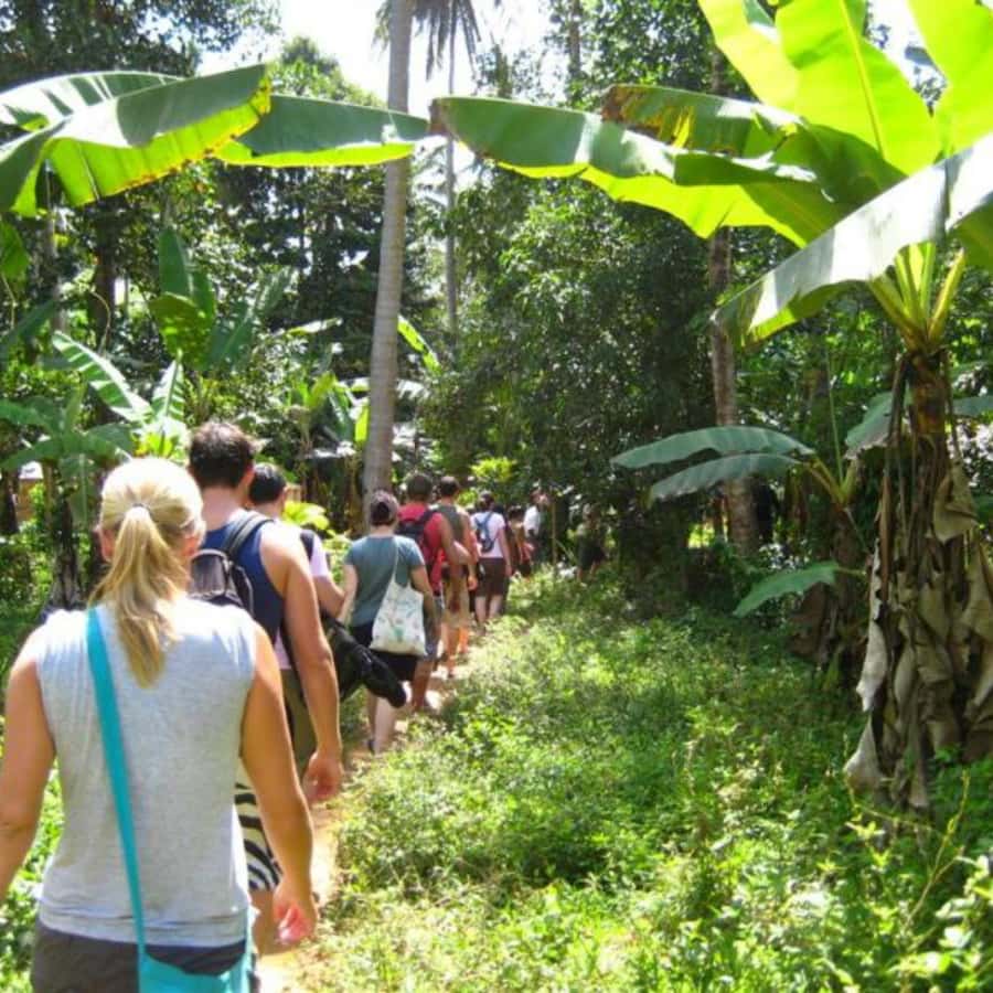 Zanzibar: Jozani Forest, Spice Farms, & Stone Town tour - Should you book this Zanzibar tour?