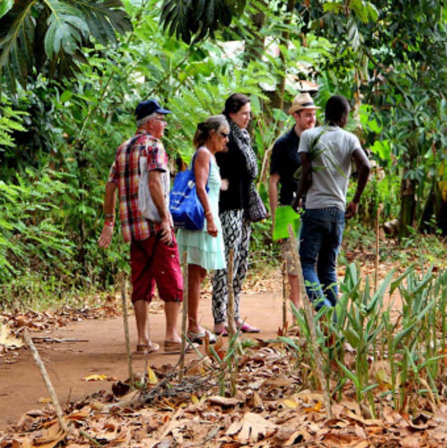 Zanzibar: Jozani Forest, Spice Farms, & Stone Town tour - Stone Town’s narrow streets and major landmarks
