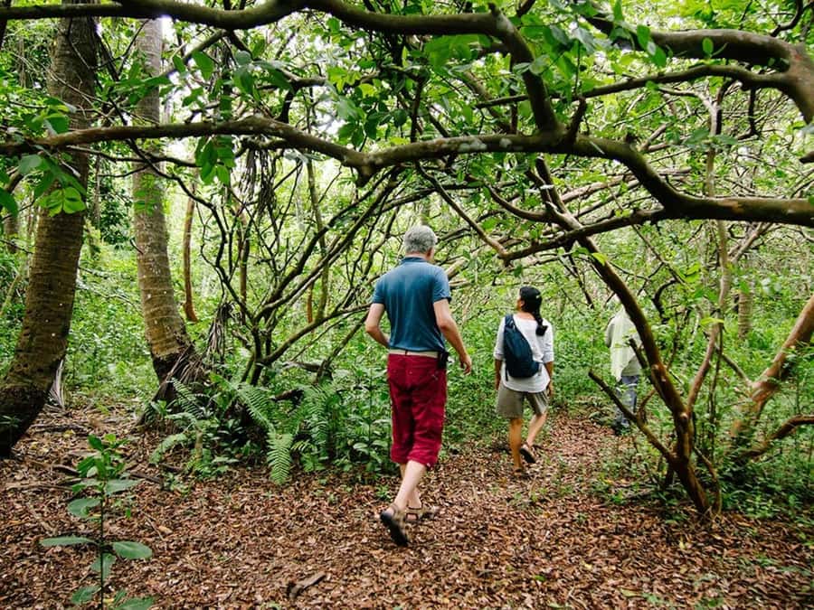Zanzibar: Jozani forest tour & Spice farm tour with lunch - Who should book this experience?