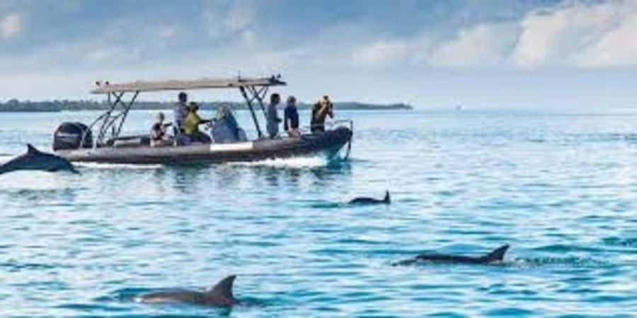 ZANZIBAR: Mnemba island, Baraka aquarium and spice farm - Five details that shape your day