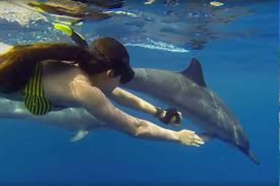 ZANZIBAR: Mnemba island, Baraka aquarium and spice farm - Lunch by the beach and local food
