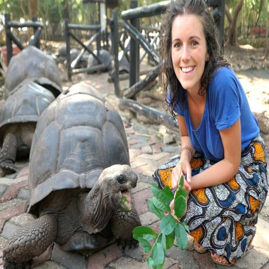 ZANZIBAR: Prison Island, Spice Farm Visit & Turtle Swim Tour - Should you book this Zanzibar day tour?