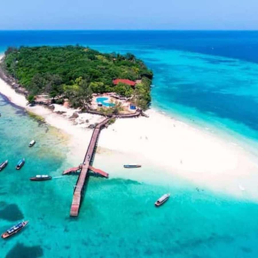 ZANZIBAR: Prison Island, Spice Farm Visit & Turtle Swim Tour - One day, three sides of Zanzibar