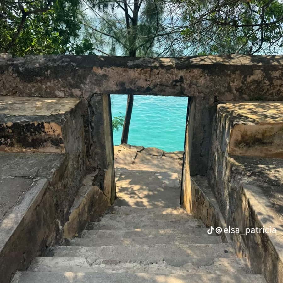 ZANZIBAR: Prison Island, Spice Farm Visit & Turtle Swim Tour - Prison Island and its very old residents