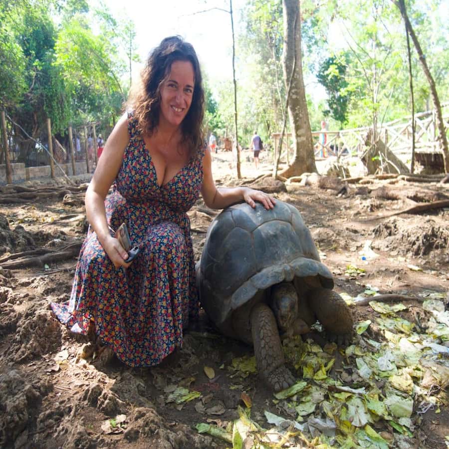 ZANZIBAR: Prison Island, Spice Farm Visit & Turtle Swim Tour - What the $98 price really covers
