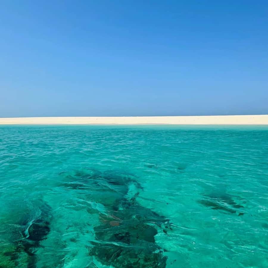 ZANZIBAR: Prison Island, Spice Farm Visit & Turtle Swim Tour - Practical packing advice