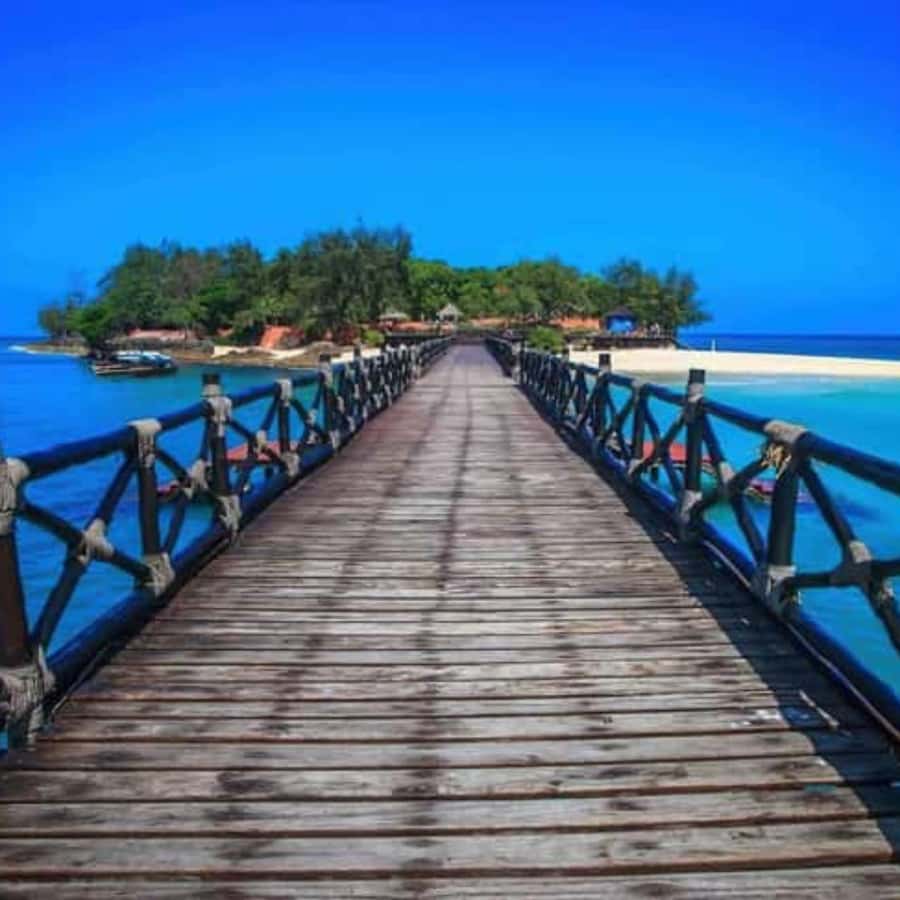 ZANZIBAR: Prison Island, Spice Farm Visit & Turtle Swim Tour - Getting started from Unguja South
