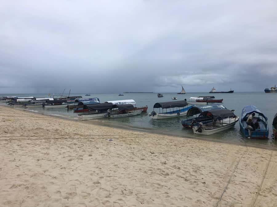 Zanzibar: Prison Island, Stone Town, & Spice Farm Tour - Three major Zanzibar sights in one day