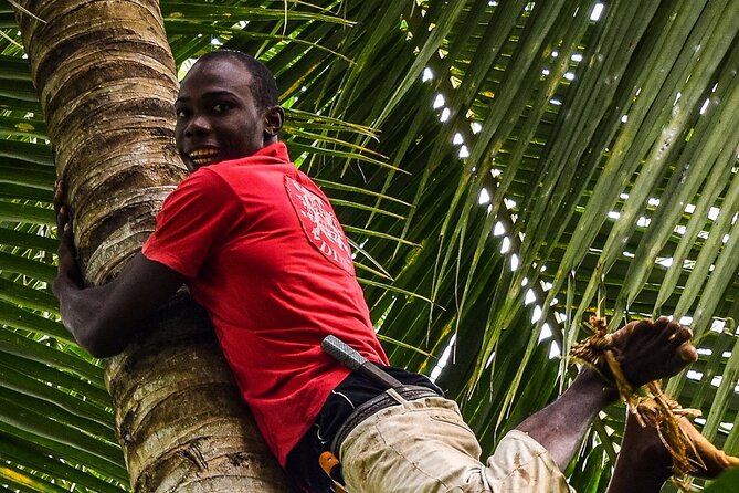 Zanzibar Private Spice Farm and Stonetown Tour(Include Lunch) - Darajani Market and Stone Town’s old streets
