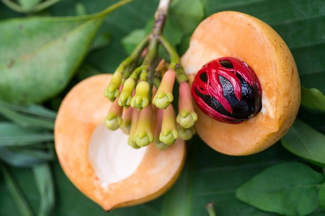 Zanzibar Spice Farm Half-Day Walking Tour - Morning or afternoon: which departure works better?