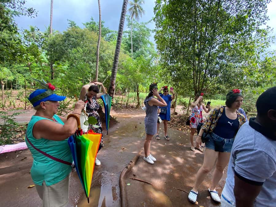 Zanzibar: Spice Farm & Stone Town Tour with Lunch - Who should book this Zanzibar day tour?