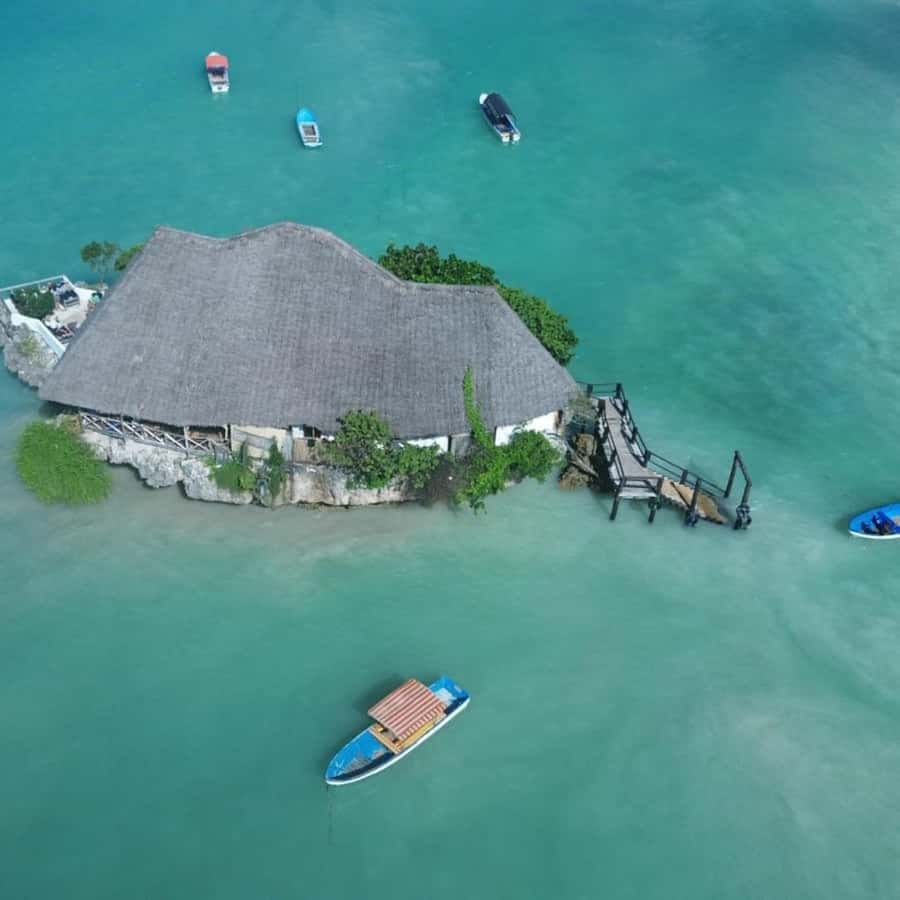 ZANZIBAR: Spice Farm Tour, Jozani Forest & Rock Restaurant - Jozani Forest and the red colobus monkeys