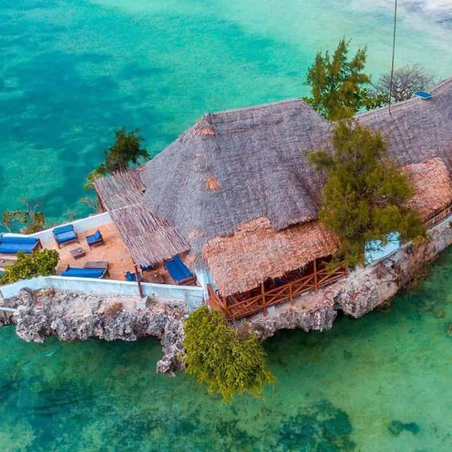 ZANZIBAR: Spice Farm Tour, Jozani Forest & Rock Restaurant - The spice farm: Zanzibar in scent and flavor
