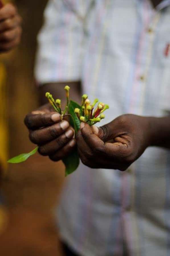 Zanzibar: Spice Farm Tour & Stone Town Adventure - Stone Town: a short walk through Zanzibar’s past