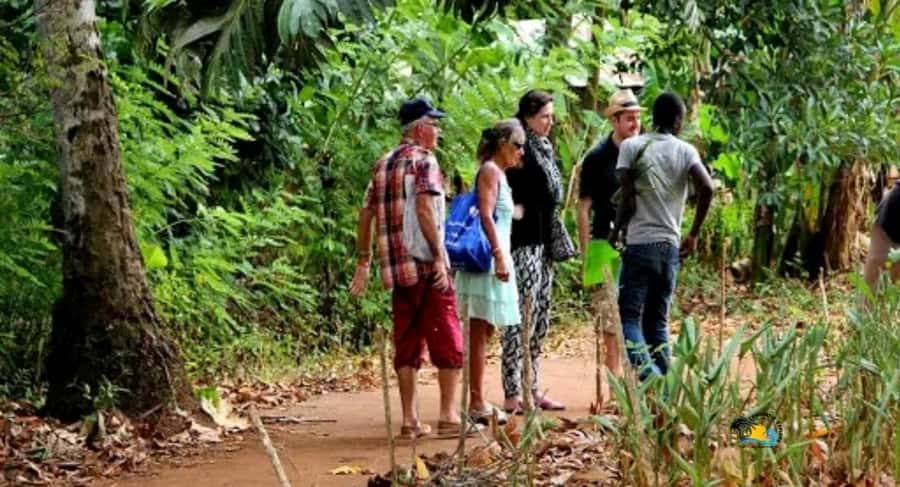 Zanzibar: Spice Farm Tour with Cooking lesson - Starting at Darajani Market