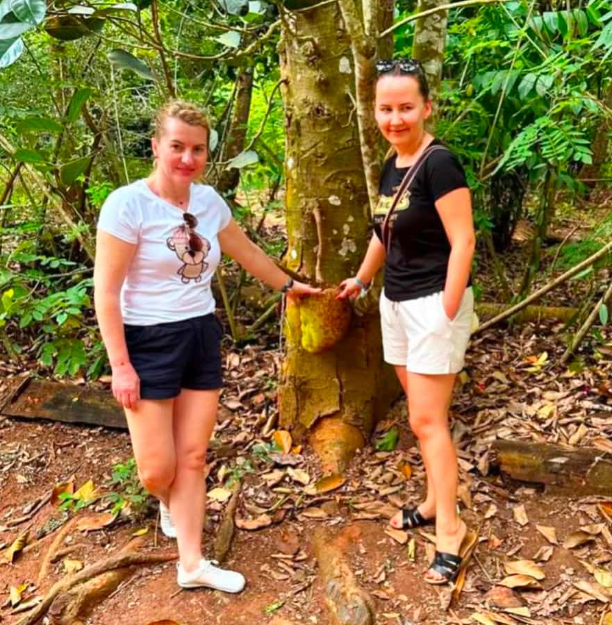 Zanzibar: Spice Farm Tour with free testing fruit and Spice - Tasting spices, fruit, and local flavors