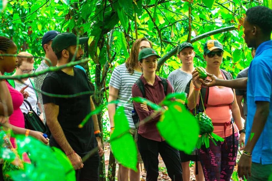 Zanzibar: Spice Farm Tour with Lunch & Tropical Fruits - Key Things to Know Before You Go