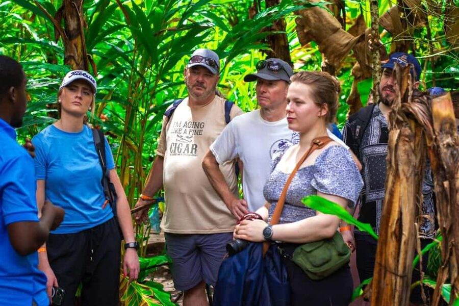 Zanzibar: Spice Farm Tour with Lunch & Tropical Fruits - From Kitchen Spices to Traditional Remedies