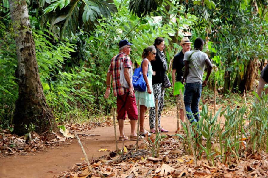 Zanzibar: Spice farm tour with Zanzibar fruits tasting - Fruit tasting at the farm