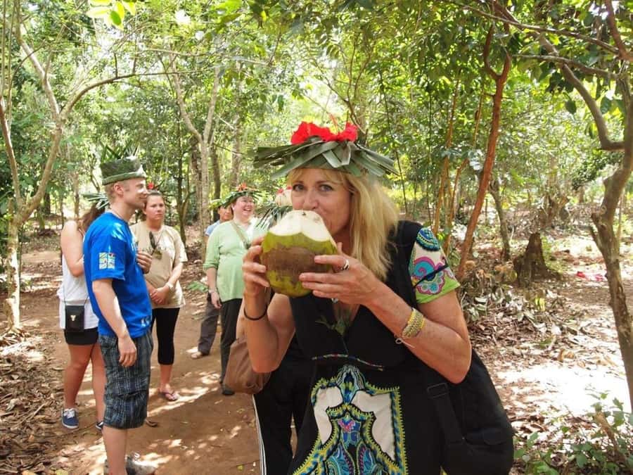 Zanzibar: Spice farm tour with Zanzibar fruits tasting - Guide quality and language options