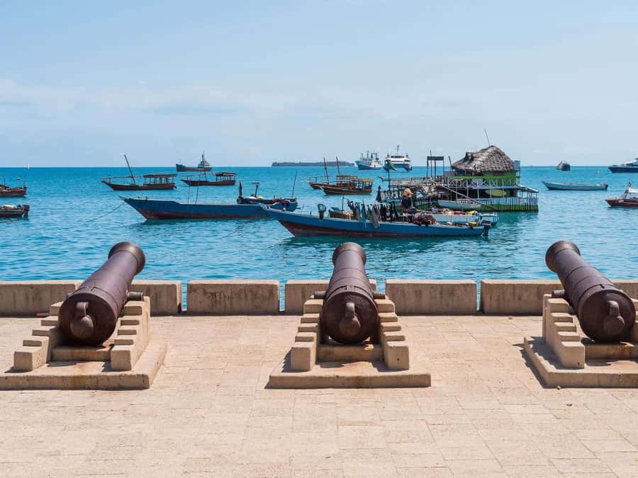 Zanzibar: Stone Town City Tour and Spice Farm with Lunch - Key points at a glance