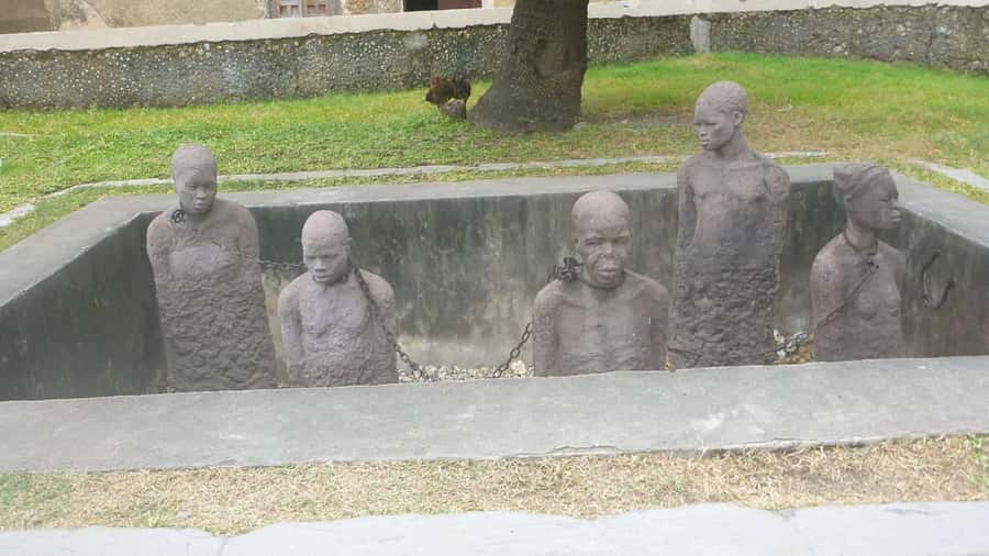 Zanzibar: Stone Town City Tour and Spice Farm with Lunch - Lunch at the farm and the shop stop