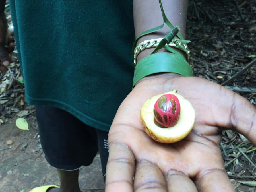 Zanzibar:Stone Town & Spice Farm Private Tour Lunch Included - Who will get the most from this $46 tour?