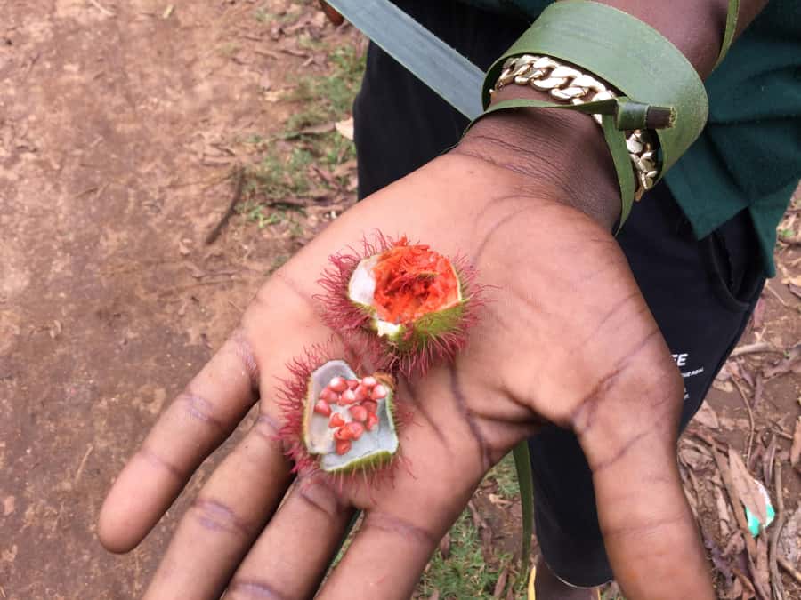 Zanzibar:Stone Town & Spice Farm Private Tour Lunch Included - Walking through a working spice farm