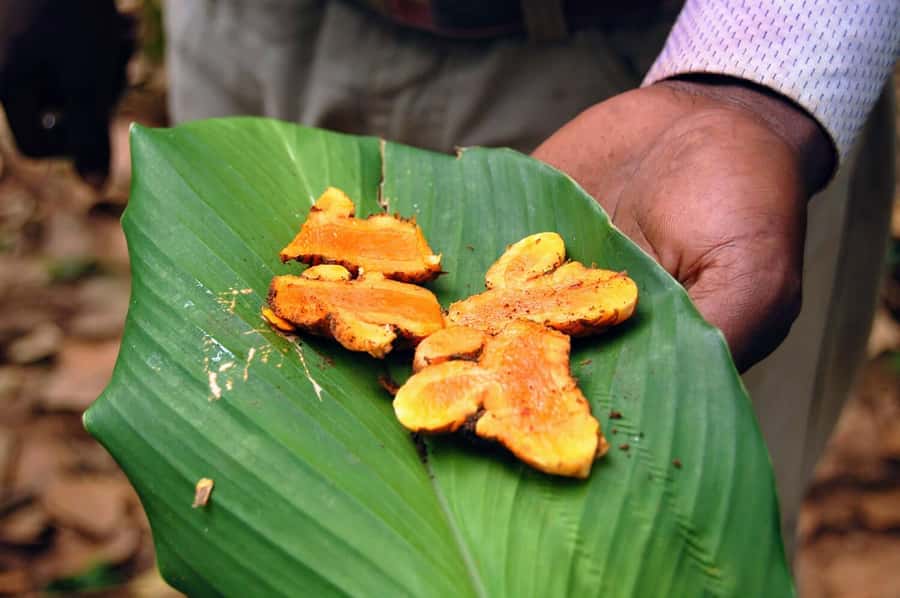 ZANZIBAR, Stone town tour, Prison Island & Spice farm - Should you book this Zanzibar day trip?