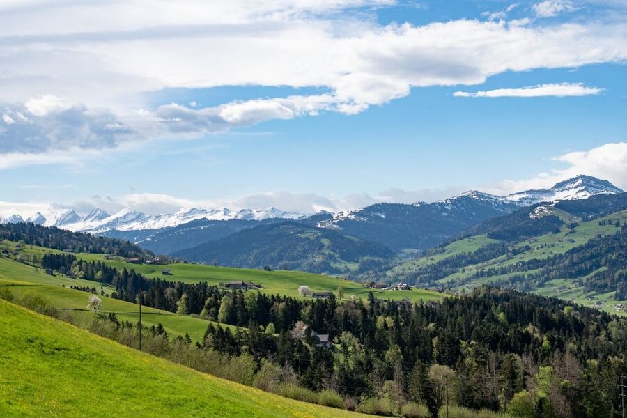 Zurich: Appenzell Day Trip with Farm Visit & Cheese Tasting - Practical details for a smoother day